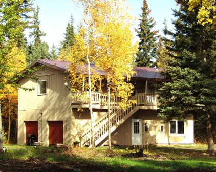 2976 Tanana Loop Extension, Delta Junction