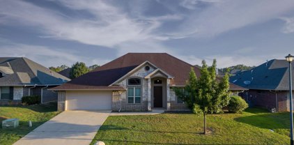 19494 Sara Ln, Flint