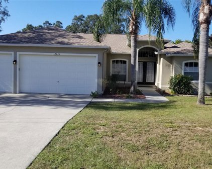 2235 Bolger Avenue, Spring Hill