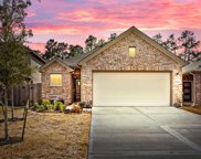 19046 Cicerone Court, New Caney image