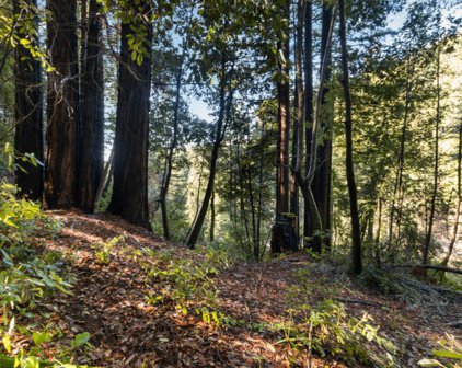 Lot 321-06 Glenwood DR, Scotts Valley