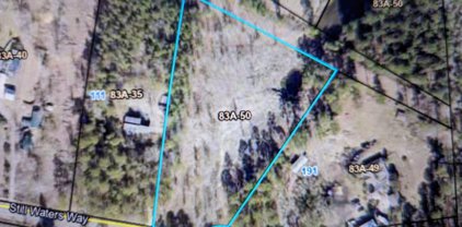 Lot 34 Still Waters Way, Jesup