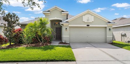 11122 Ancient Futures Drive, Tampa