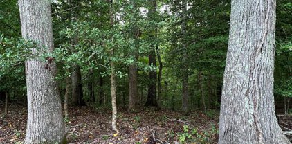 1.906 AC Davis Mill Road, Lancaster