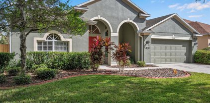 9508 Laurel Ledge Drive, Riverview