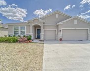 3414 Autumn Amber Drive, Spring Hill image