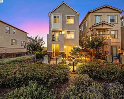 3001 Worthing Cmn, Livermore