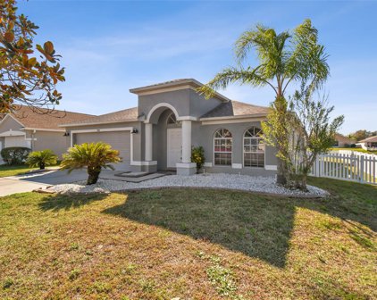 7513 Canal Point Court, Wesley Chapel