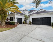 20209 Moss Hill Way, Tampa image