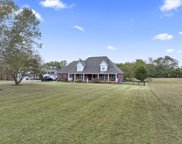 111 Barvas Ln, Lascassas image