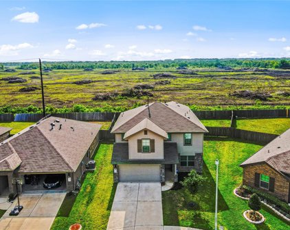 8531 Violet Hills Lane, Rosharon
