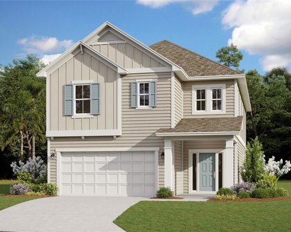303 Stargaze Lane, St Augustine