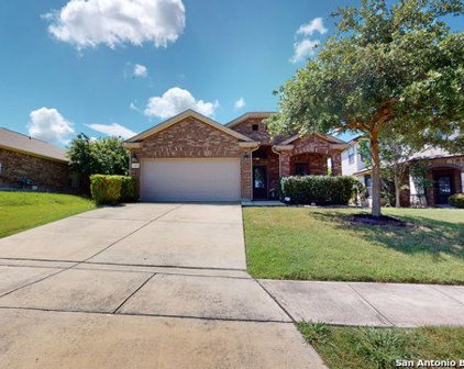 14004 Wenrich, Live Oak