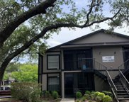 Tampa image