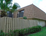 597 Green Springs Place, West Palm Beach image