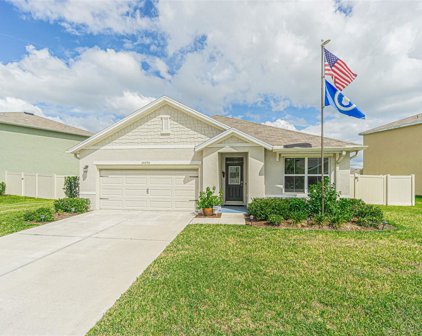30690 Summer Sun Loop, Wesley Chapel