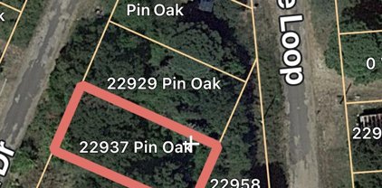 22937 Pin Oak Dr, Flint