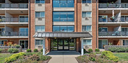 2234 S Goebbert Road Unit #321, Arlington Heights