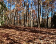 Lot 45 Roaming Road, Glenville image