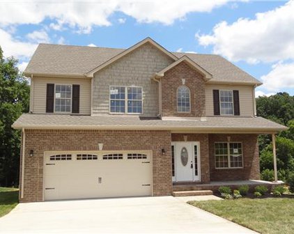 726 Fields of Northmeade, Clarksville