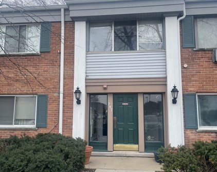 707 E Falcon Drive Unit #C207, Arlington Heights