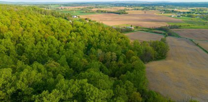 Mount Zion Rd, Dillsburg