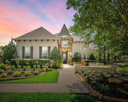6 S Sage Sparrow Circle, Spring