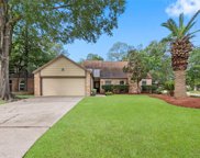 22611 Black Willow Drive, Tomball image
