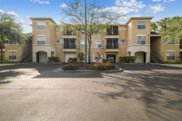5125 Palm Springs Boulevard Unit 9205, Tampa image