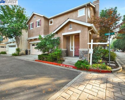 25 Colby Ct, Pleasanton