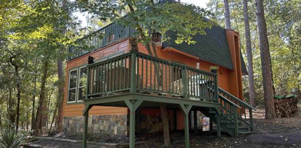 249 Bobwhite Lane, Holly Lake Ranch