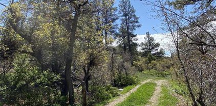 535 Bobcat, Pagosa Springs