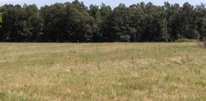 1280 Co Rd 667, Muscadine