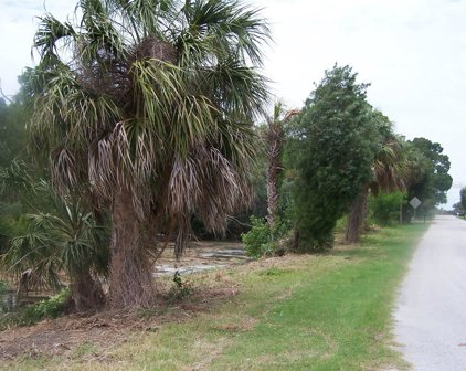 8545 Betty Street, Port Richey