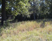 Willow Oak Lane, Point Blank image