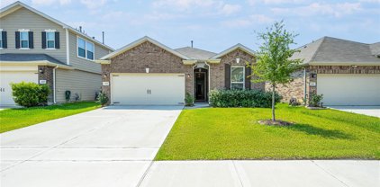 4331 Mossy Banks Lane, Houston