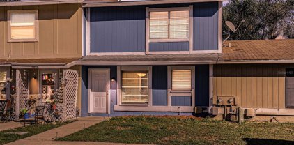 14103 Village Terrace Drive, Tampa
