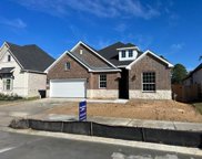 29618 Conifer Street, Tomball image
