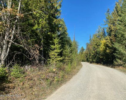 NNA Harlans Trail, Sagle