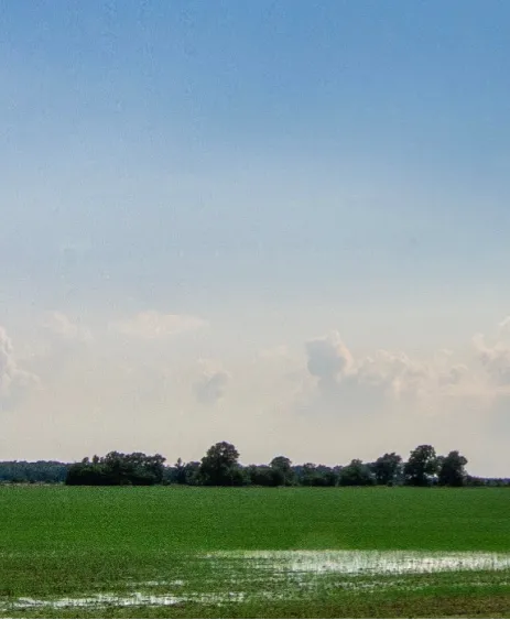 LAND
