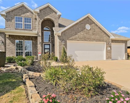 2413 Abbot Brook Drive, Iowa Colony