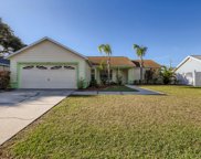 11353 Andy Drive, Riverview image