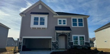 3840 Panther Path (Lot 53), Timmonsville
