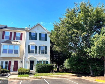 21051 Pickerelweed Ter, Ashburn