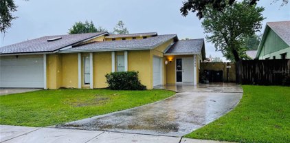 5949 Branch Drive, Orlando