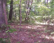 Lot 79 Muscadine Court, Sevierville image