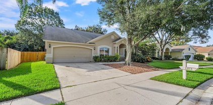1103 Evening Trail Drive, Wesley Chapel