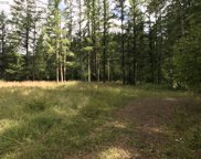 18806 NE LUCIA FALLS RD, Yacolt image