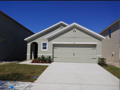 120 Cinnamon Bark Place E, Valrico