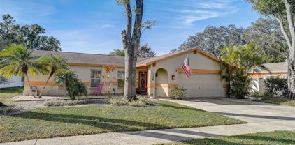 14022 Cherry Lake Drive, Tampa